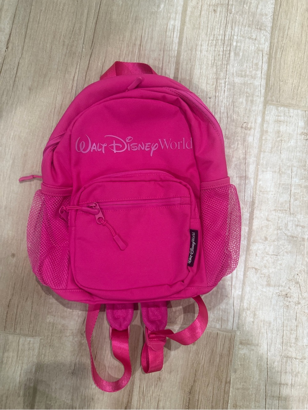 Disney color fantasyland feels mini Backpack - pink
